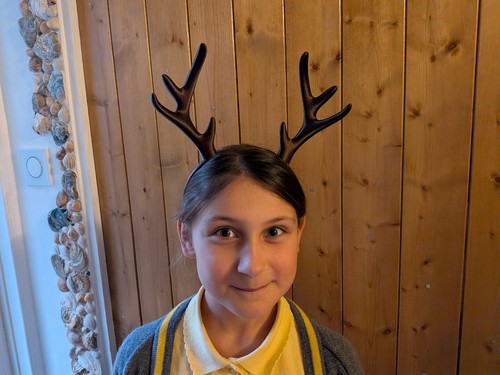 Printed reindeer antlers - 3d,