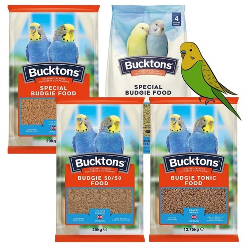 Bucktons budgie bird - bucktons,