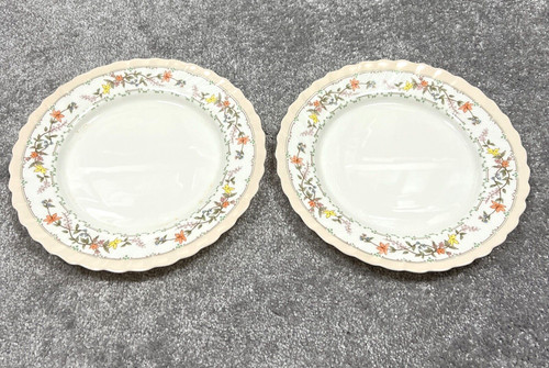 Arcopal france dinner - arcopal, plates