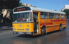 BUS PHOTO PHOTOGRAPH, ORANGE