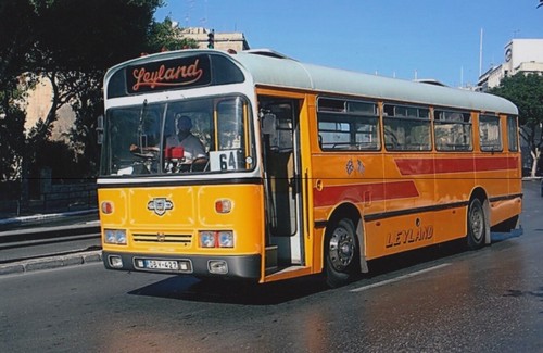 Bus photo photograph orange - photograph,,