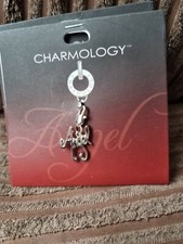 Charmology Angel Charm