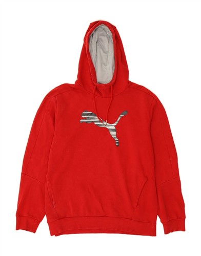 Puma mens graphic hoodie - mens,