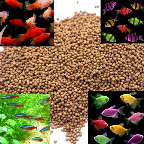 100g 200g 500g floting - floting, fish