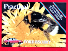 1980 FORD ESCORT Sales