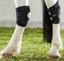 Back on Track® Equine Hock