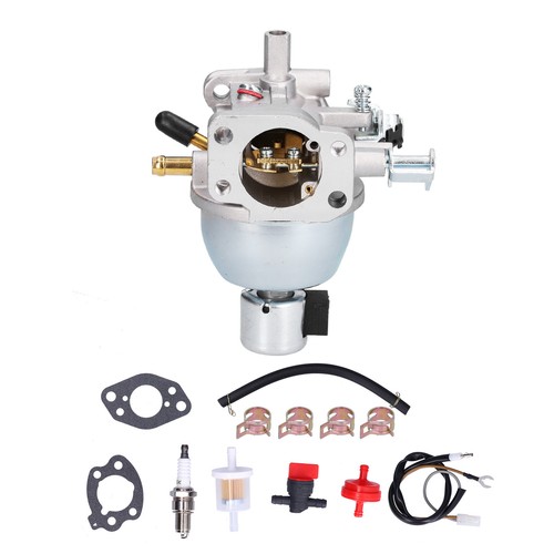 Carburetor filter set 847395 - filter,