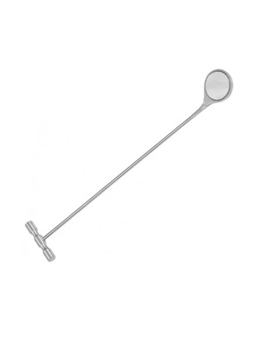 50mm equine dental - 50mm,