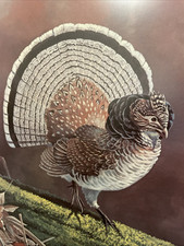 Vintage Larry Toschik