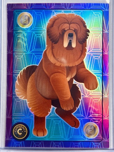 Tibetan mastiff 2025 - ,
