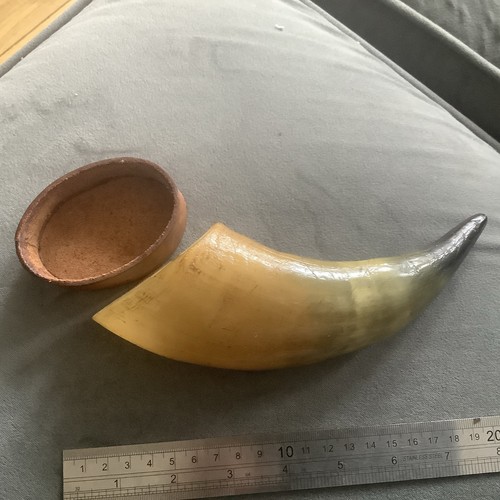 Vintage genuine cow horn - genuine, ox