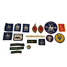 Badges Patches Cub Scouts