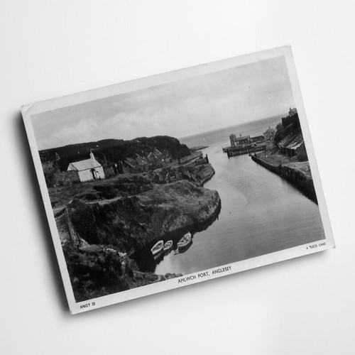 Print vintage wales - print,