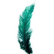 Ostrich Feathers - Emerald