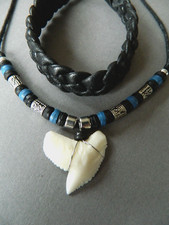 Mens Necklace Shark Tooth