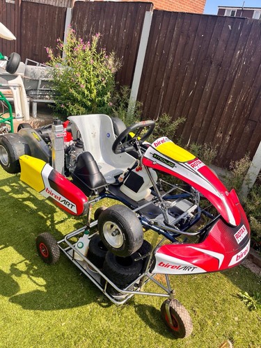 Rotax mini max - mini,