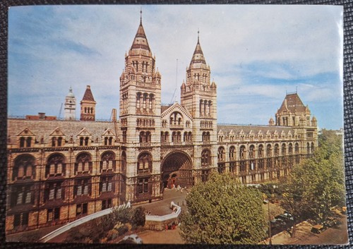 Natural history museum london - natural,