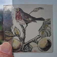 Stained Glass Robin bird birds vintage Kiln fired fragment robins