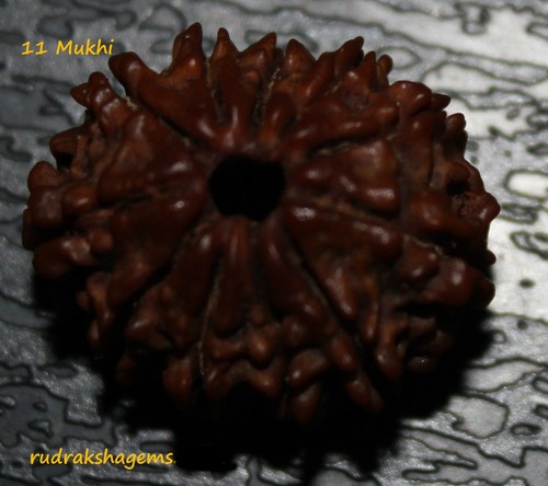 Nepalese eleven gyrah - eleven,