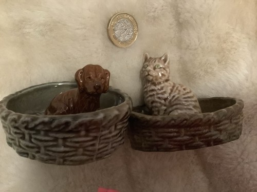 Cat dog wade - cat, basket