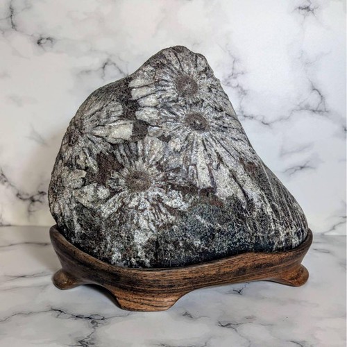 Suiseki japanese viewing stone - viewing,