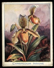 Tobacco card carreras - tobacco,