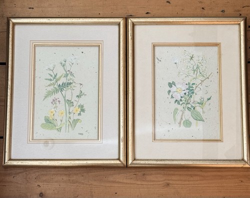 Vintage framed botanical - botanical, art