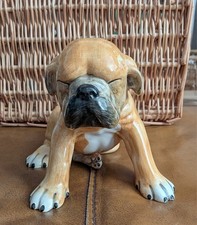 Italian Porcelain Boxer Puppy