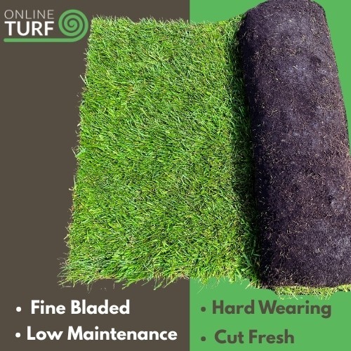 Lawn turf real - real, garden
