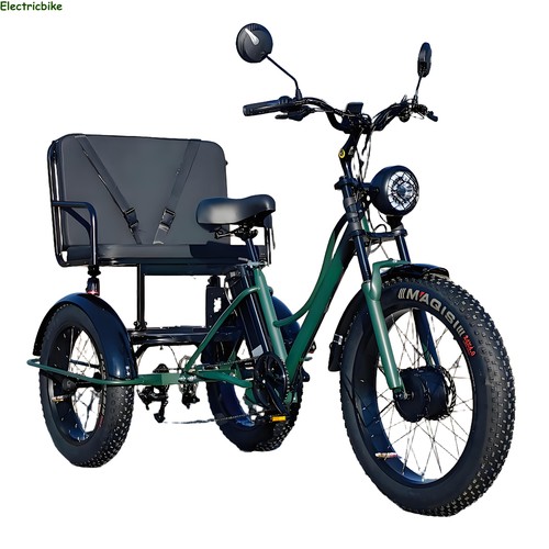 Electric tricycle 48v 18ah - 24",
