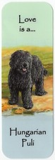HUNGARIAN PULI DOG BEAUTIFUL
