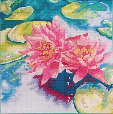 Water lily count cross - -,