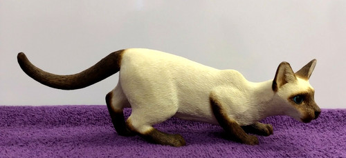 Realistic creeping siamese cat - siamese,