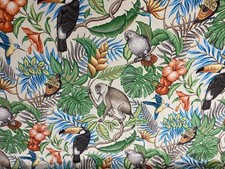 Tropical Forest Life  Cotton