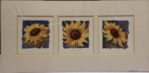 Nel whatmore sunny - whatmore, smiles