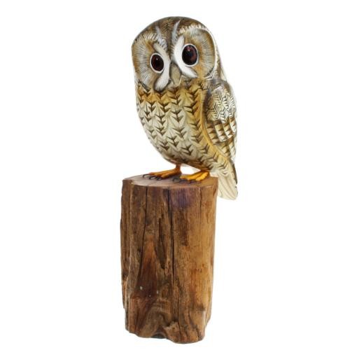Tawny owl tree trunk hand - owl,
