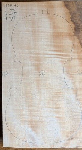 Ma2 violin one piece - , a