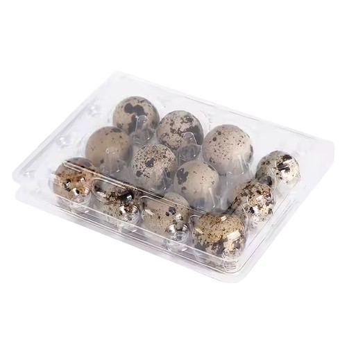 Jumbo quail egg - quail, cartons