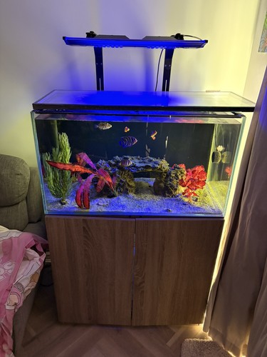 Marine tank everything - marine,
