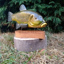  Tench Fish , fishing Trophy 