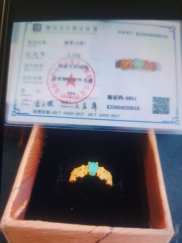 Jadiete gold ring - jadiete,