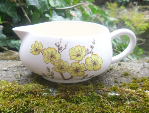 Vintage carlton ware small jug - vintage,