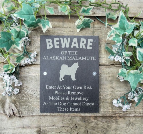 Humorous beware the - beware, alaskan