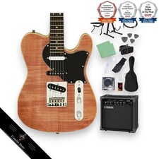 Aria Pro II 615AE200(B) 14String Electric Guitar Beginner Set with Yamaha