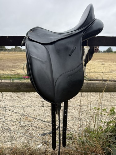 Bates isabelle worth dressage - worth,