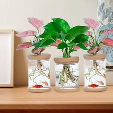 3x Hydroponics Flower Vases