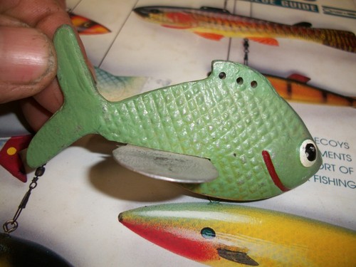 Kermit sletten sunfish - sletten, fish