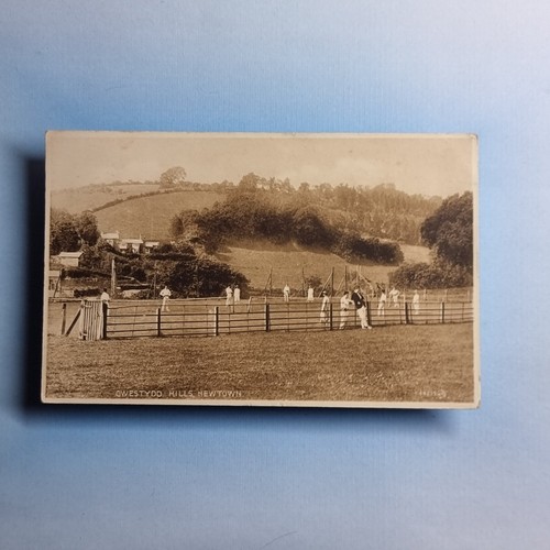 Newtown powys postcard - powys, 1930