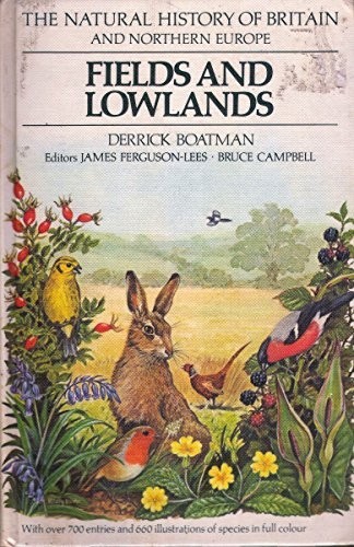 Fields and lowlands natural - lowlands, (natural