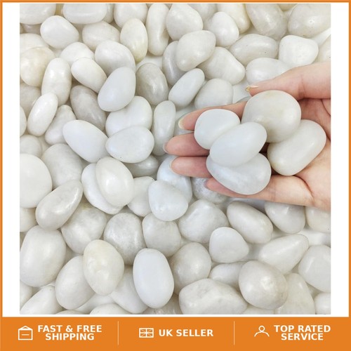 Lbs polished white pebbles - 2,